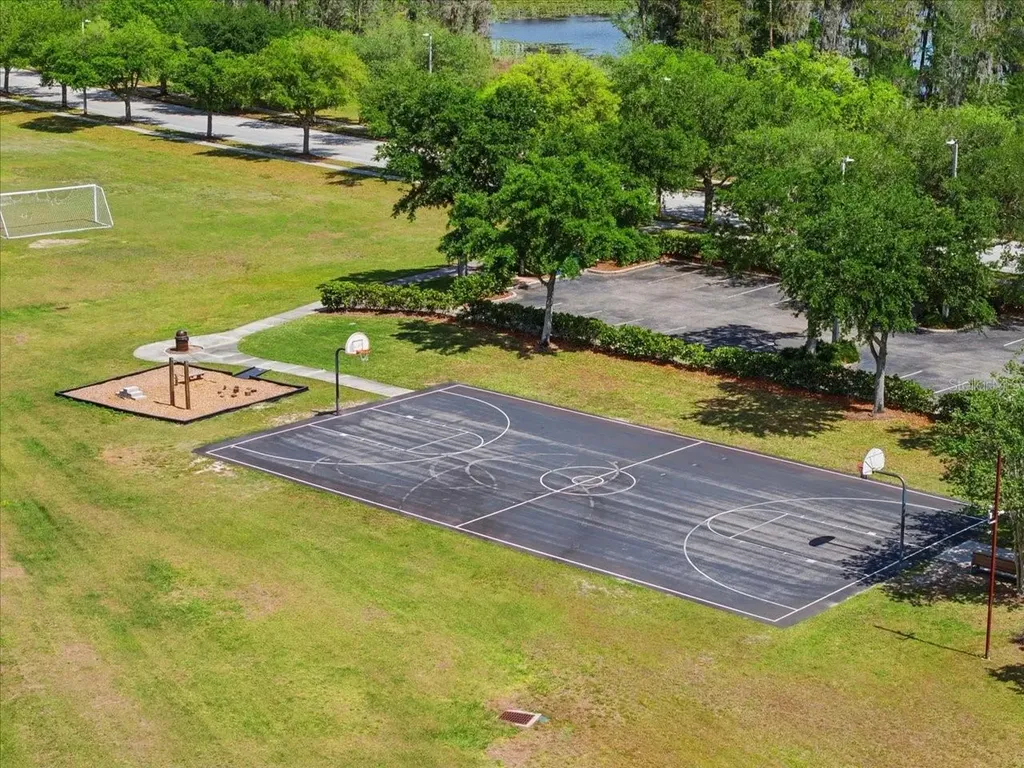 3319 Majestic View Drive Lutz FL 33558