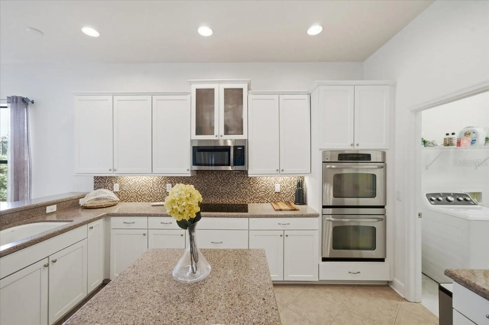 3319 Majestic View Drive Lutz FL 33558