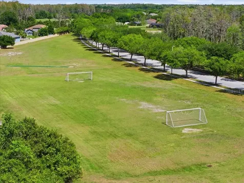 3319 Majestic View Drive Lutz FL 33558