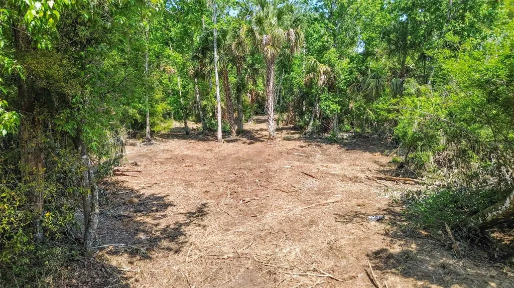 0 Muddy Water Trail Thonotosassa FL 33592