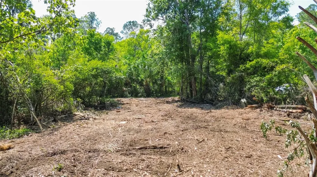 0 Muddy Water Trail Thonotosassa FL 33592