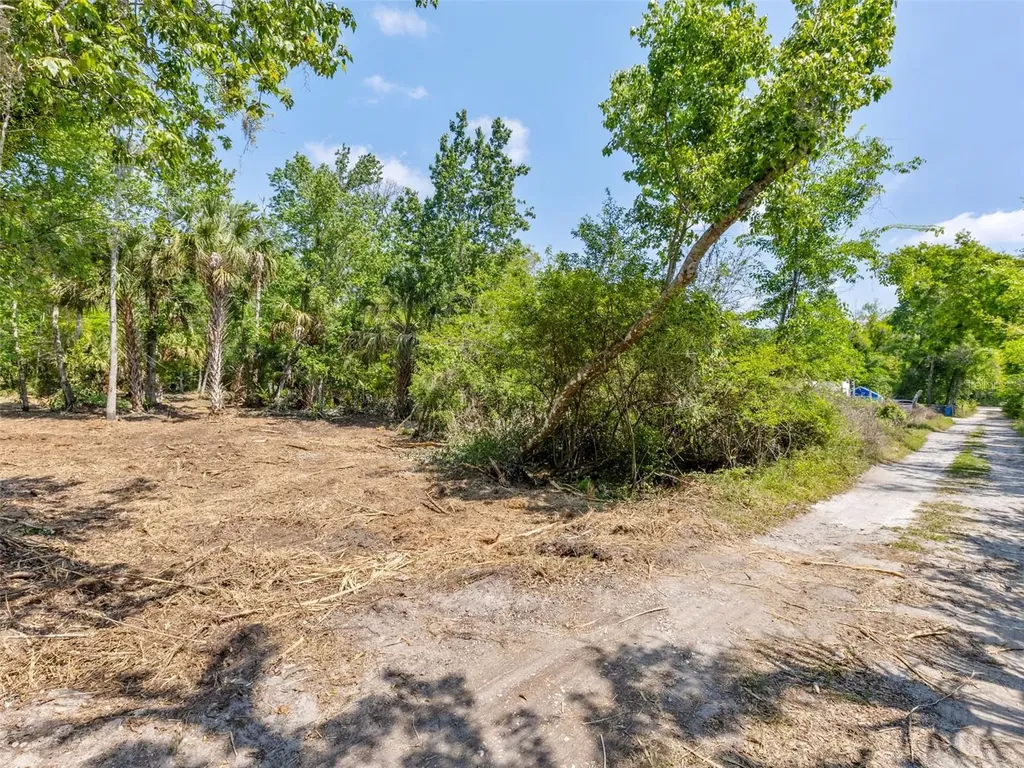 0 Muddy Water Trail Thonotosassa FL 33592