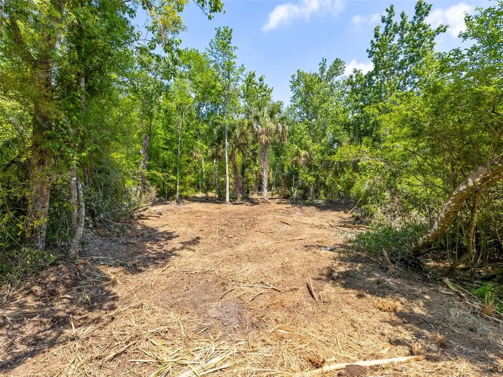 0 Muddy Water Trail Thonotosassa FL 33592