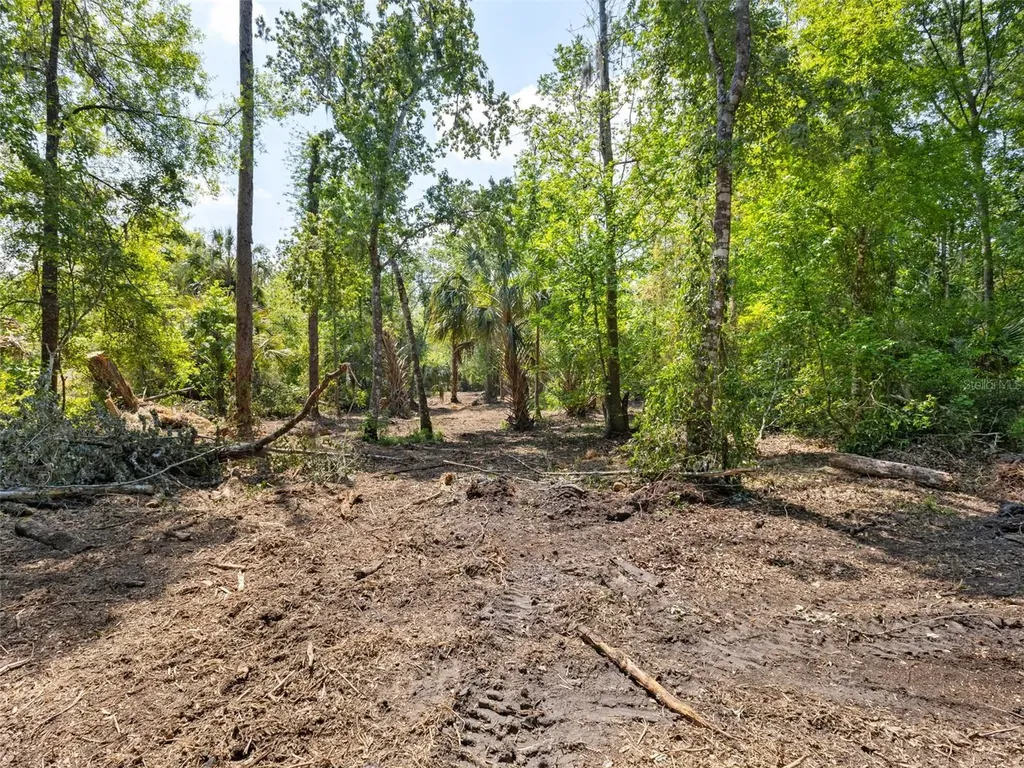0 Muddy Water Trail Thonotosassa FL 33592