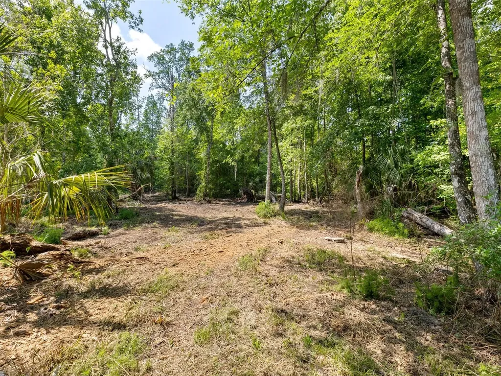 0 Muddy Water Trail Thonotosassa FL 33592