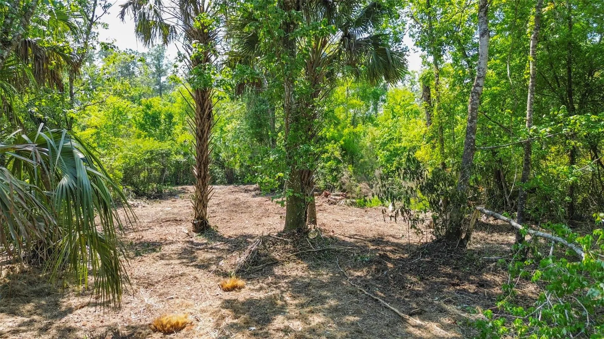 0 Muddy Water Trail Thonotosassa FL 33592