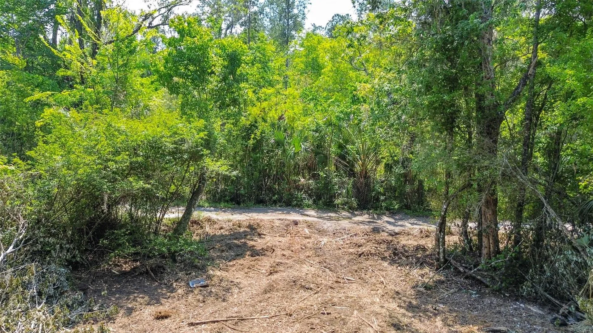 0 Muddy Water Trail Thonotosassa FL 33592