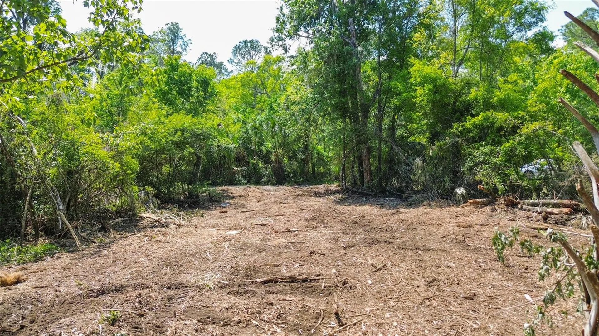 0 Muddy Water Trail Thonotosassa FL 33592
