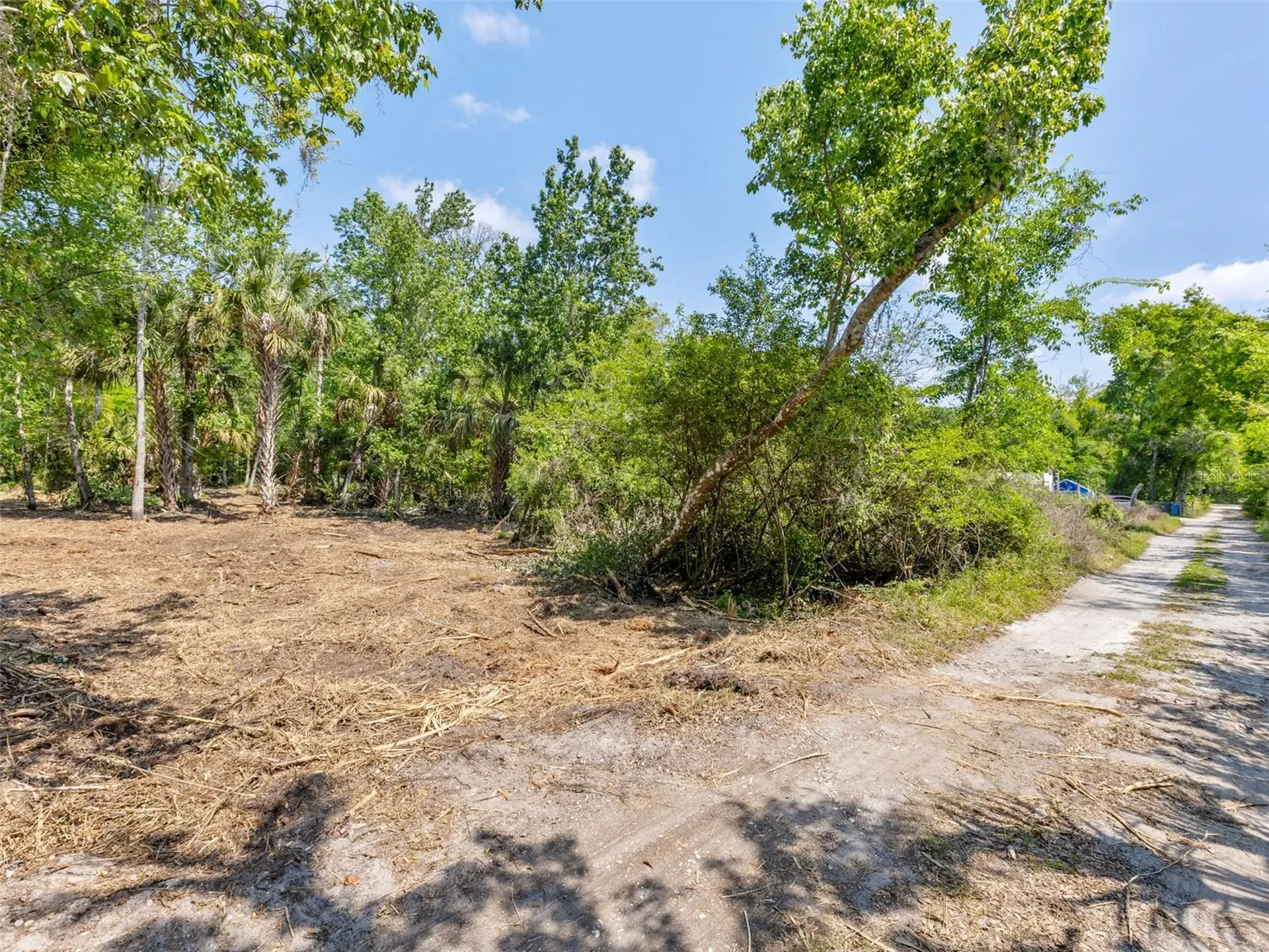 0 Muddy Water Trail Thonotosassa FL 33592