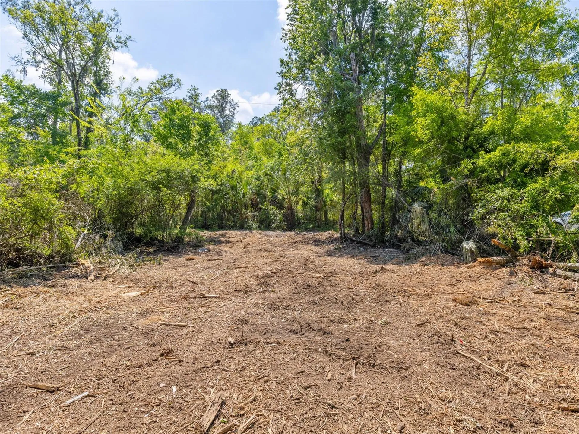 0 Muddy Water Trail Thonotosassa FL 33592