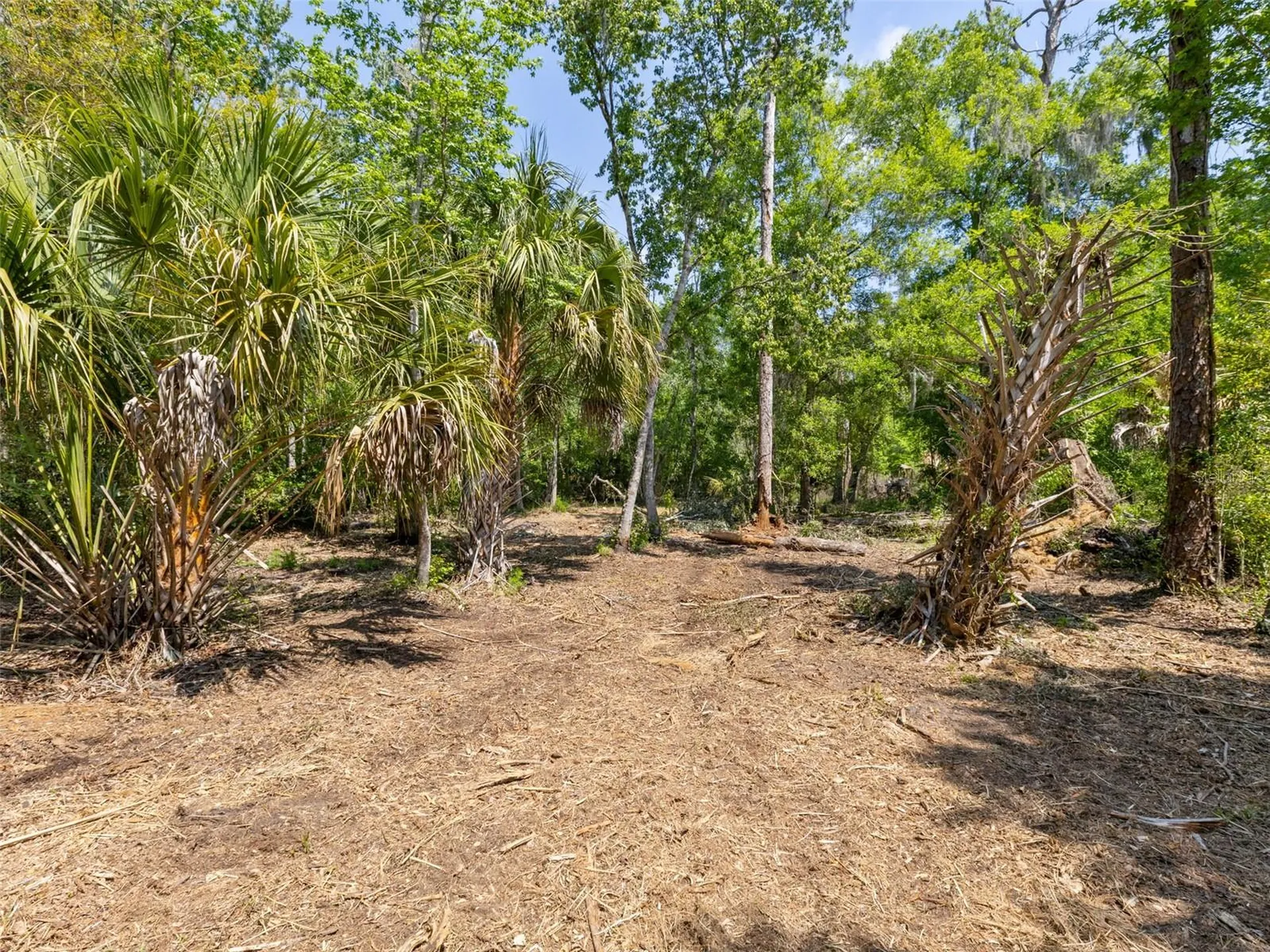 0 Muddy Water Trail Thonotosassa FL 33592