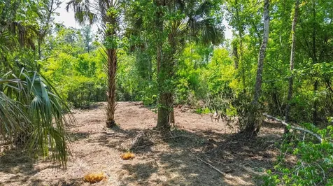 0 Muddy Water Trail Thonotosassa FL 33592