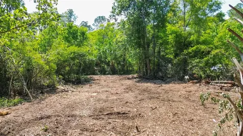 0 Muddy Water Trail Thonotosassa FL 33592