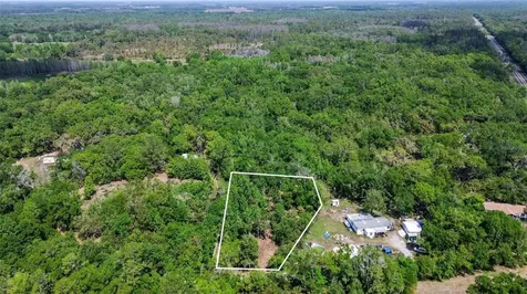 0 Muddy Water Trail Thonotosassa FL 33592
