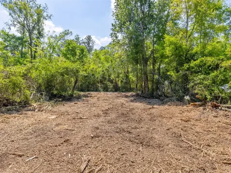 0 Muddy Water Trail Thonotosassa FL 33592