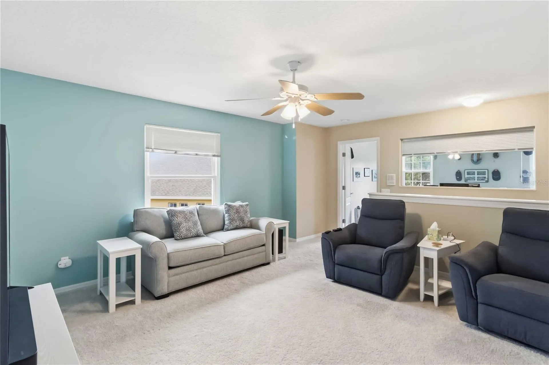 19120 Mandarin Grove Place Tampa FL 33647