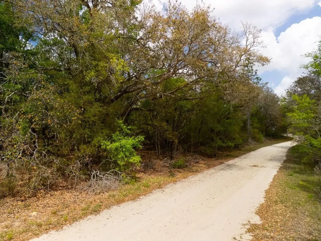 00 NE 131st Terrace Bronson FL 32621