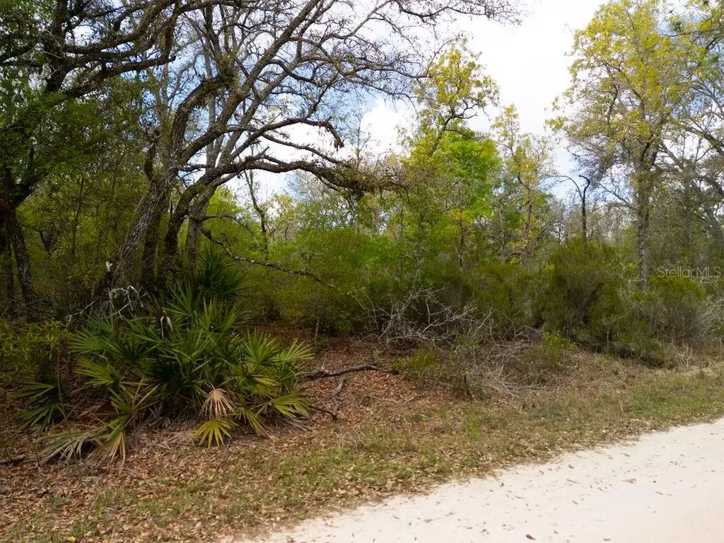 00 NE 131st Terrace Bronson FL 32621