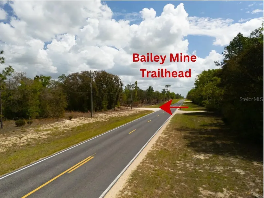 00 NE 131st Terrace Bronson FL 32621
