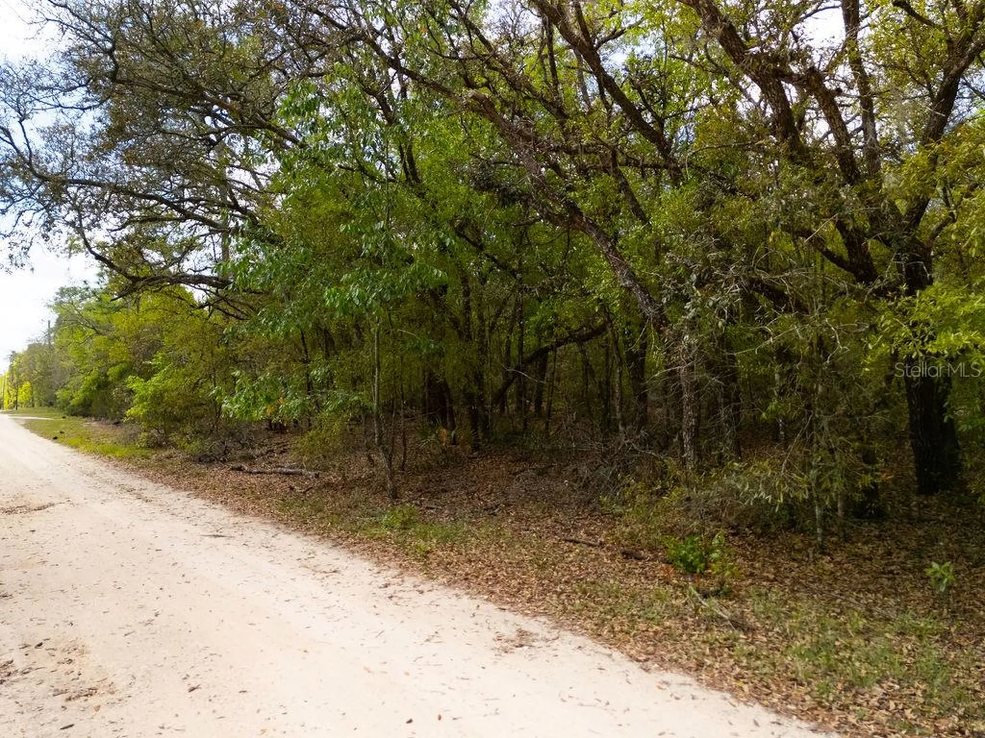 00 NE 131st Terrace Bronson FL 32621