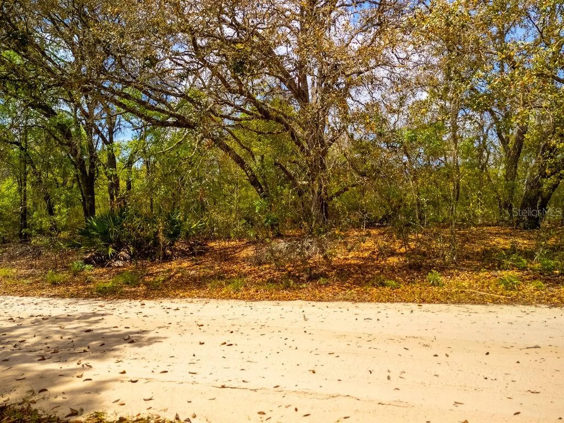 00 NE 131st Terrace Bronson FL 32621