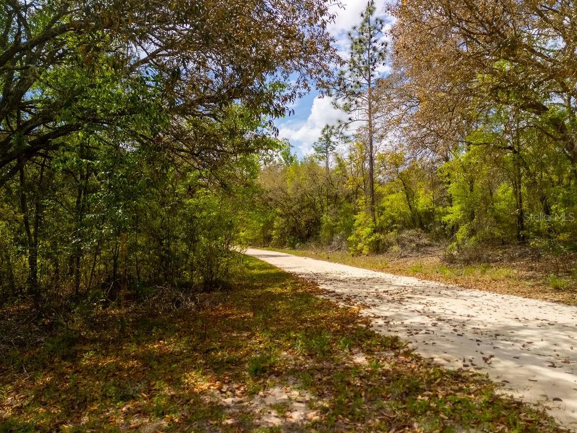 00 NE 131st Terrace Bronson FL 32621