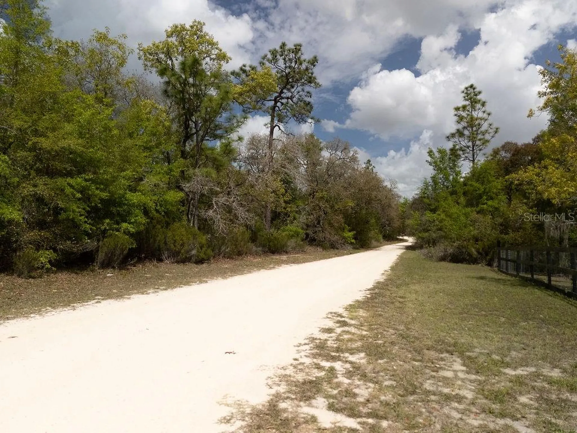 00 NE 131st Terrace Bronson FL 32621