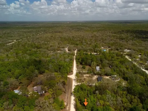 00 NE 131st Terrace Bronson FL 32621