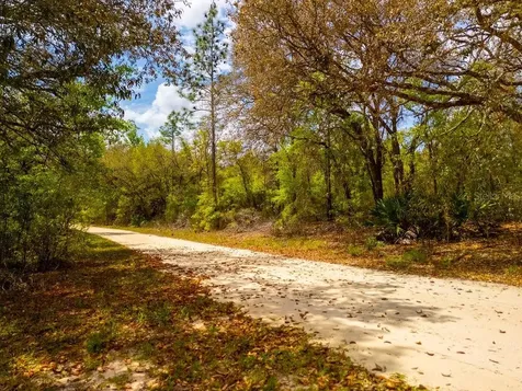 00 NE 131st Terrace Bronson FL 32621
