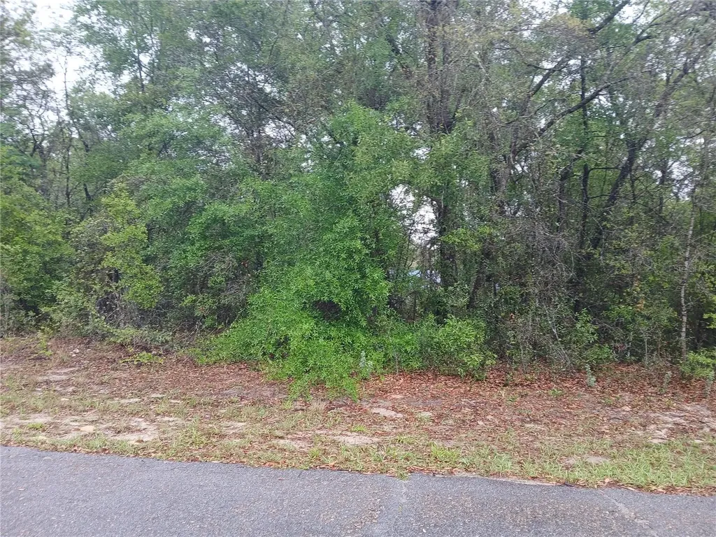 7851 N Vince Drive Citrus Springs FL 34434