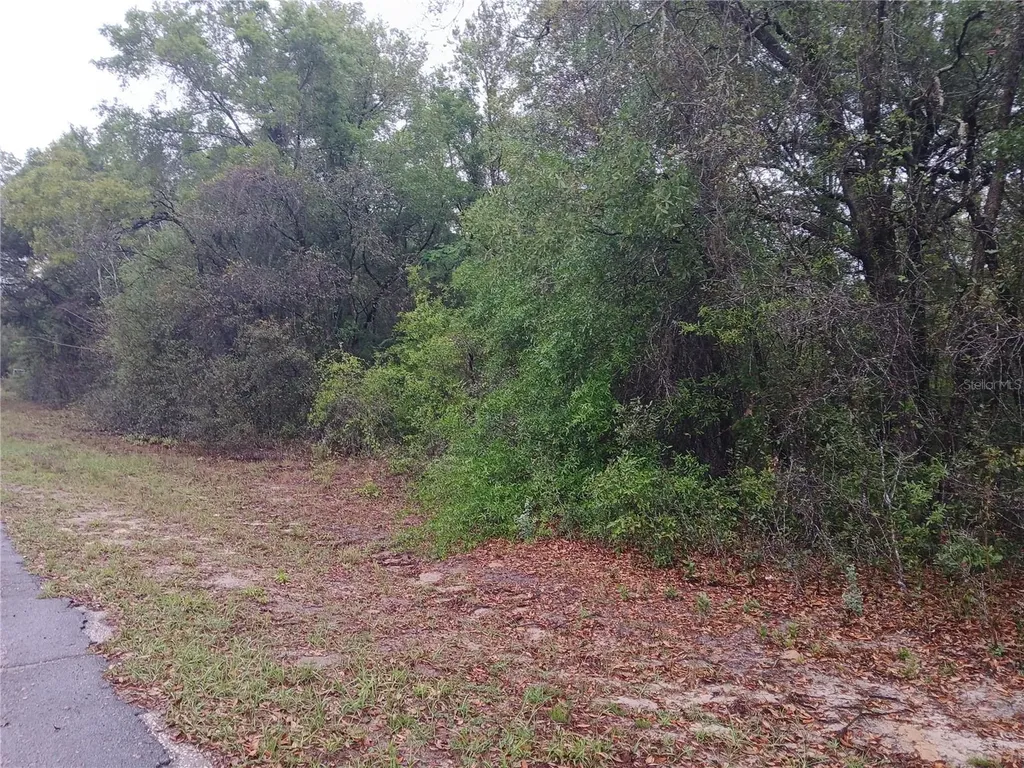 7851 N Vince Drive Citrus Springs FL 34434