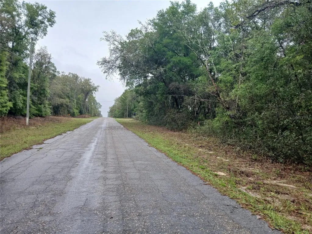 7851 N Vince Drive Citrus Springs FL 34434