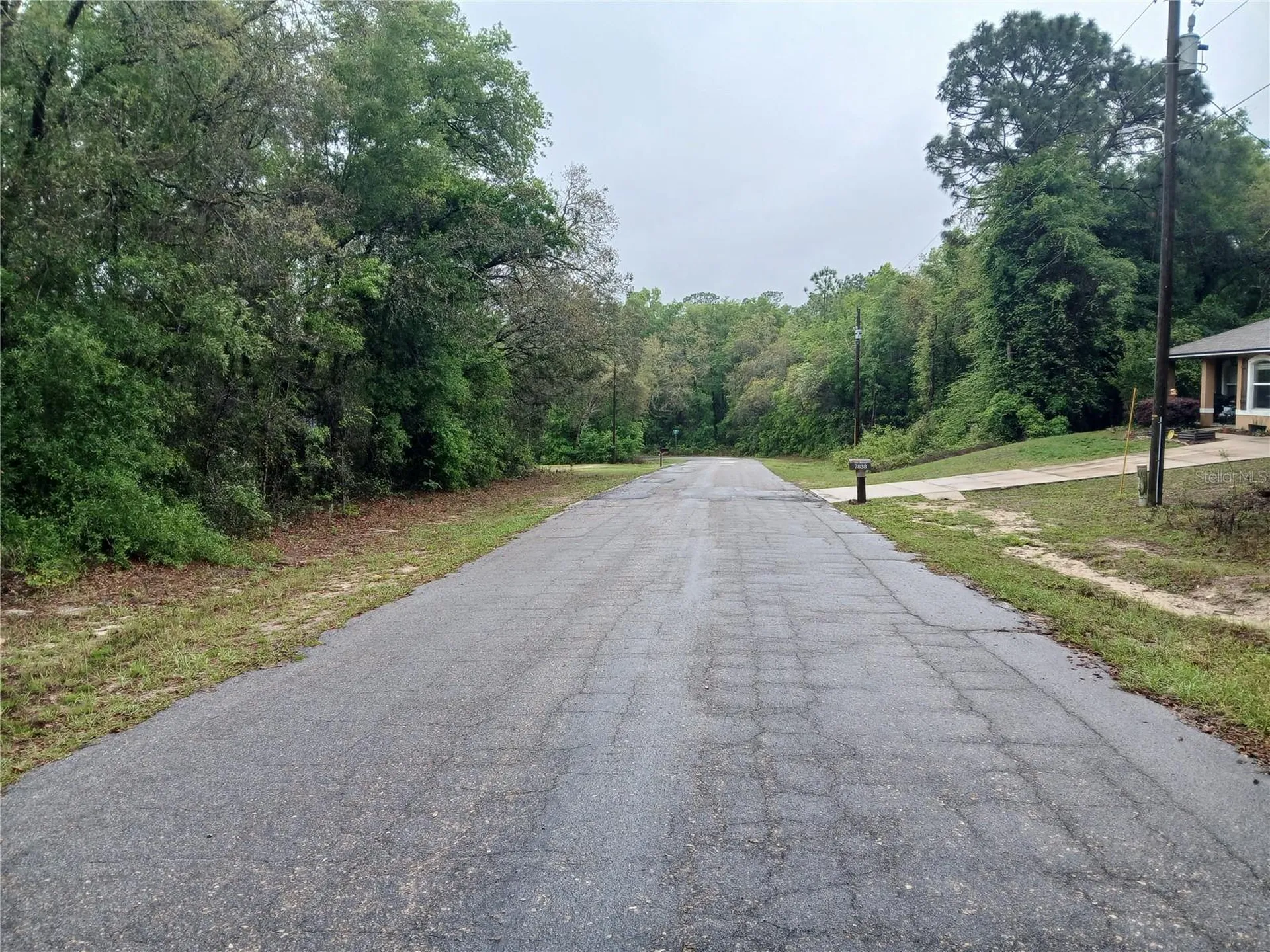 7851 N Vince Drive Citrus Springs FL 34434