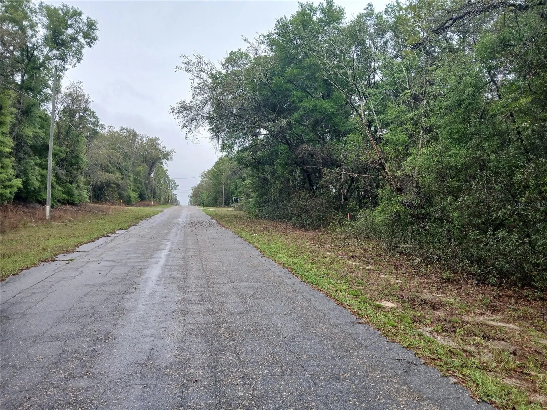7851 N Vince Drive Citrus Springs FL 34434