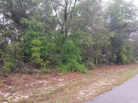 7851 N Vince Drive Citrus Springs FL 34434