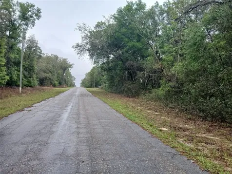 7851 N Vince Drive Citrus Springs FL 34434