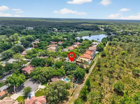 17805 Green Willow Drive Tampa FL 33647