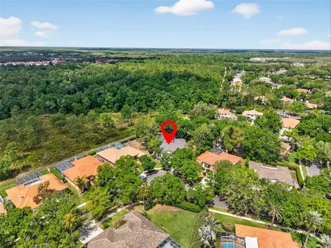 17805 Green Willow Drive Tampa FL 33647