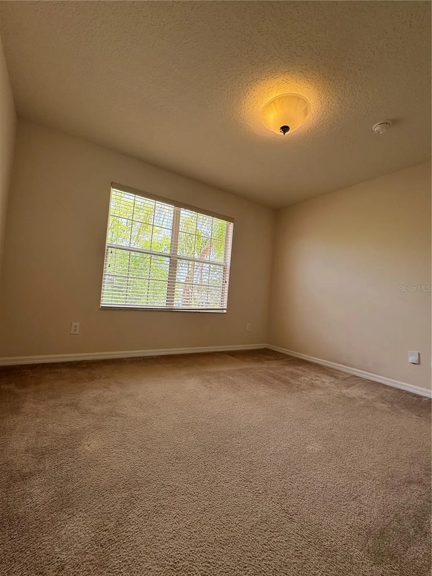 14013 Budworth Circle Orlando FL 32832