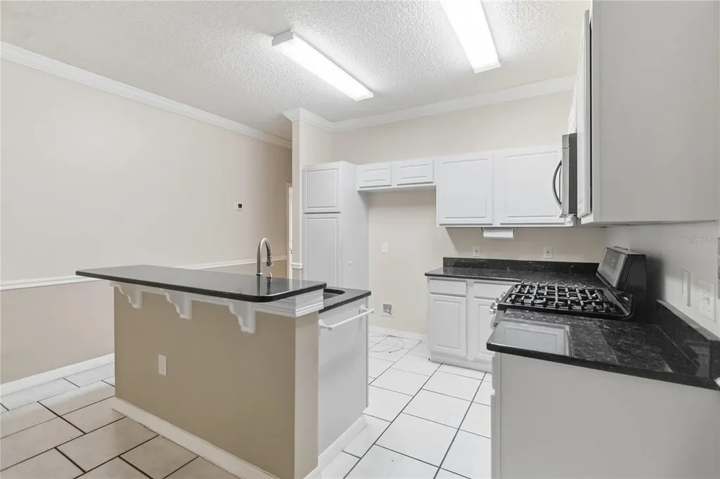 5316 Coral Vine Lane Kissimmee FL 34758
