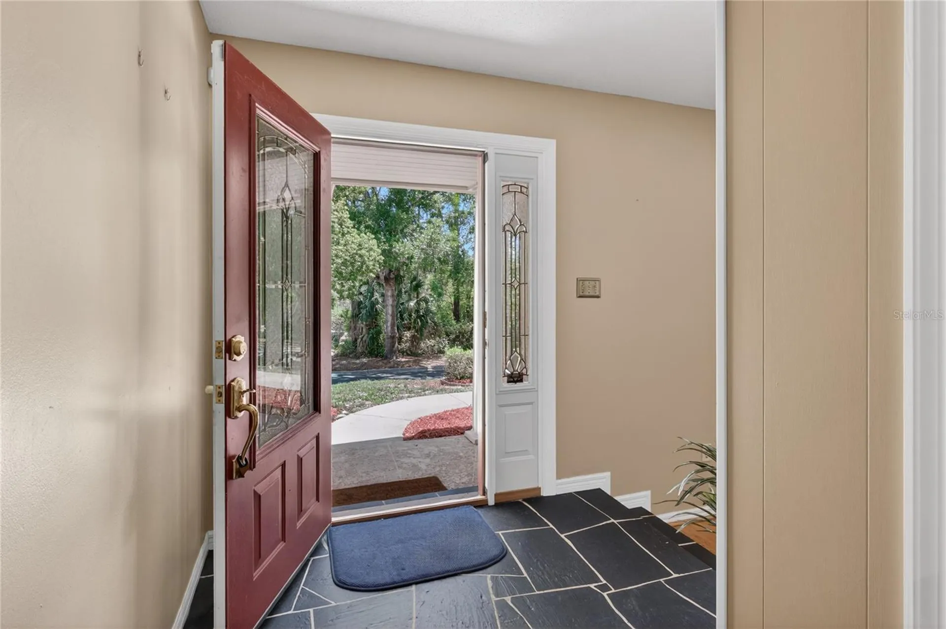 1945 Normandy Drive Mount Dora FL 32757