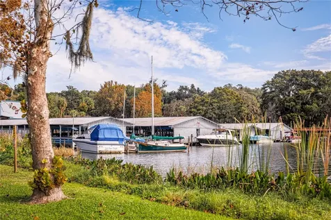 1945 Normandy Drive Mount Dora FL 32757