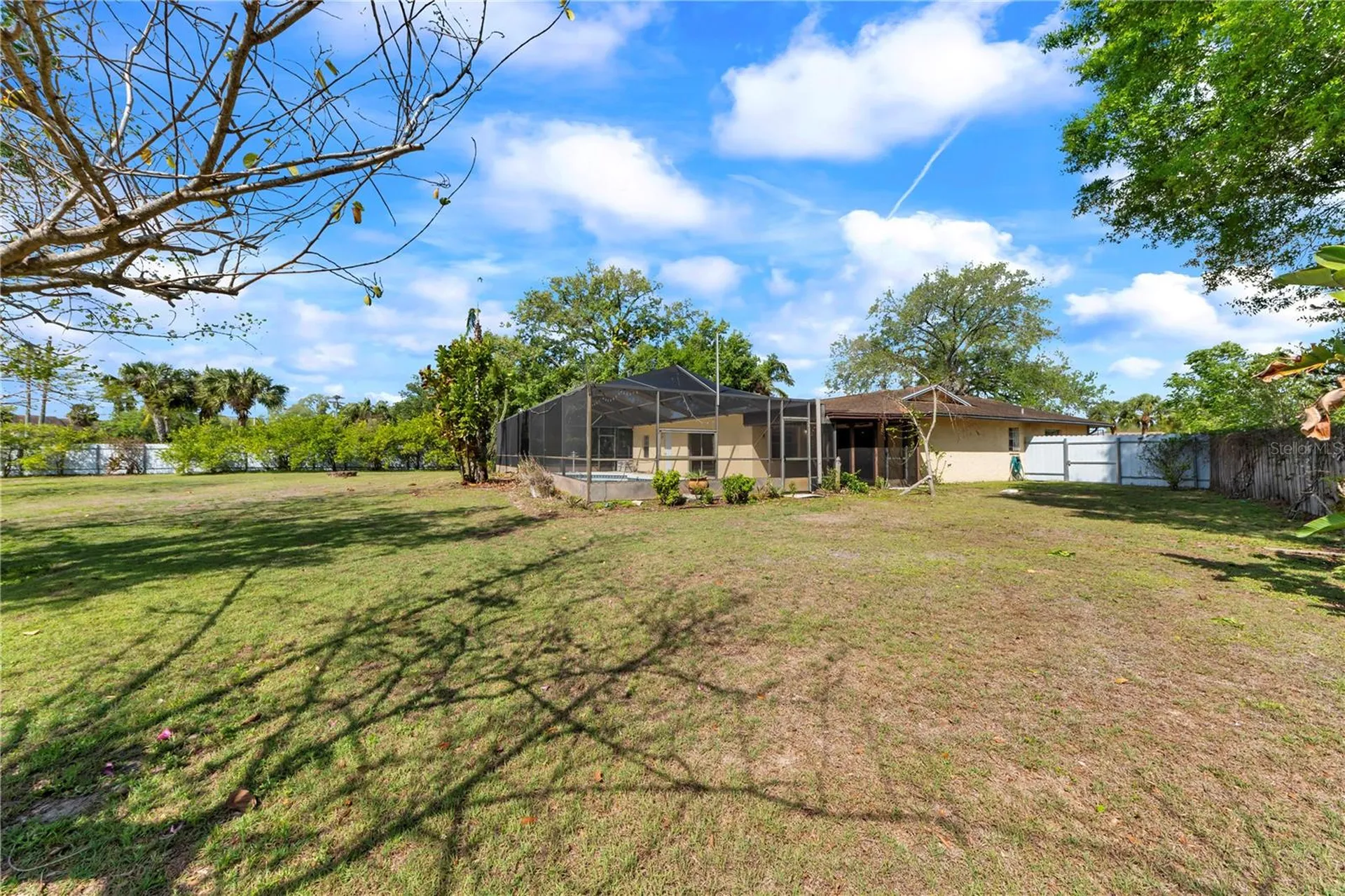 10320 Out Island Drive Tampa FL 33615