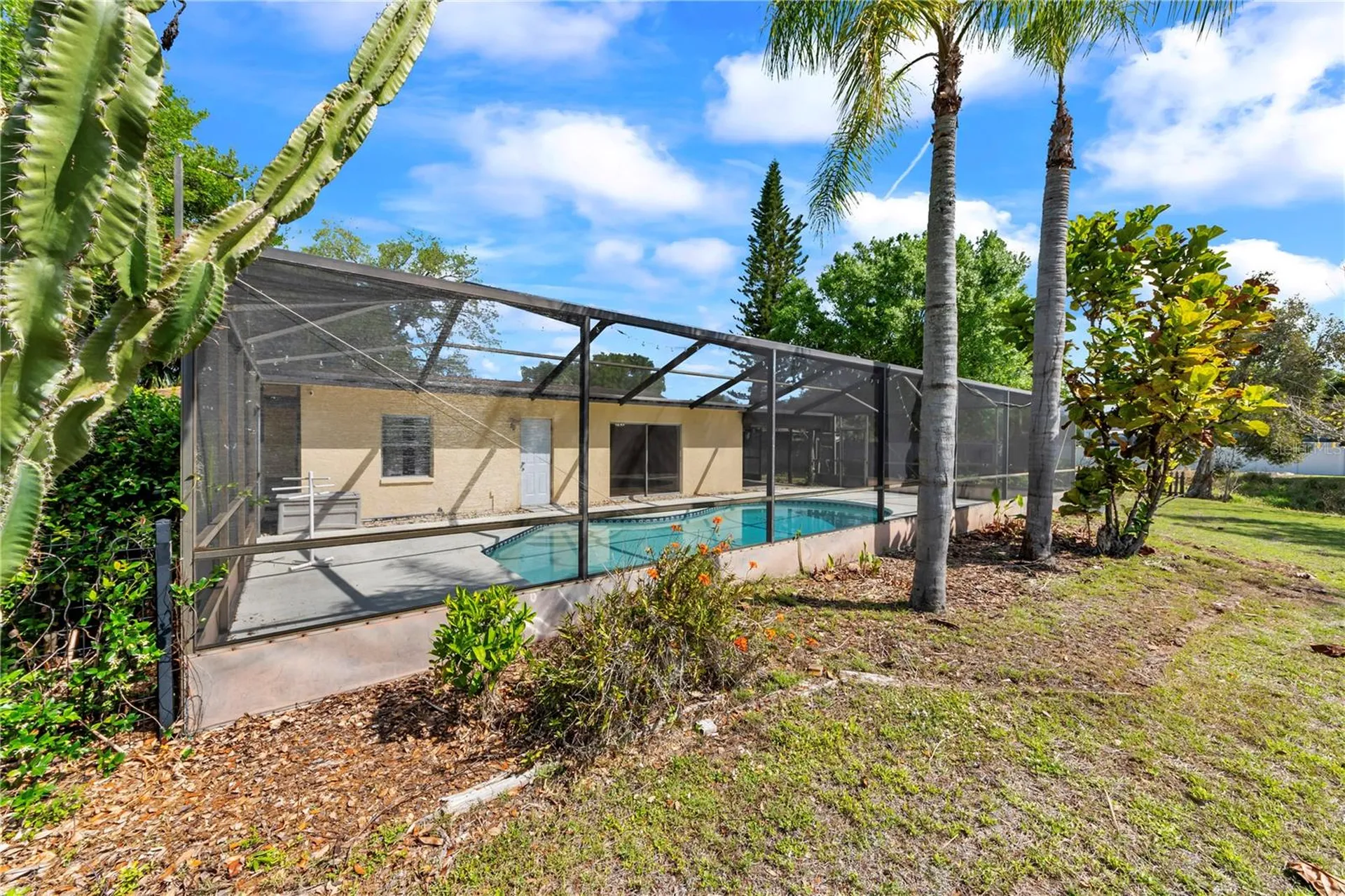 10320 Out Island Drive Tampa FL 33615