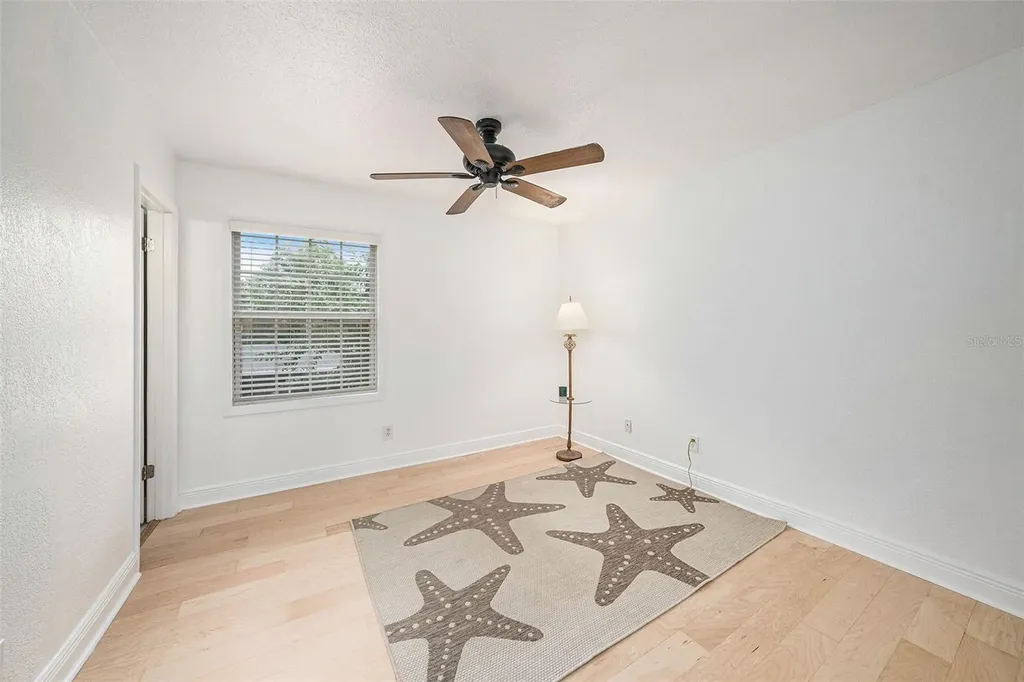13725 Juniper Blossom Drive Tampa FL 33618