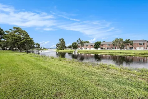 13725 Juniper Blossom Drive Tampa FL 33618