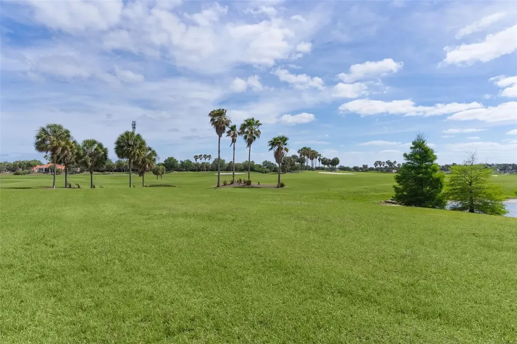 1251 Eureka Mill Run The Villages FL 32162