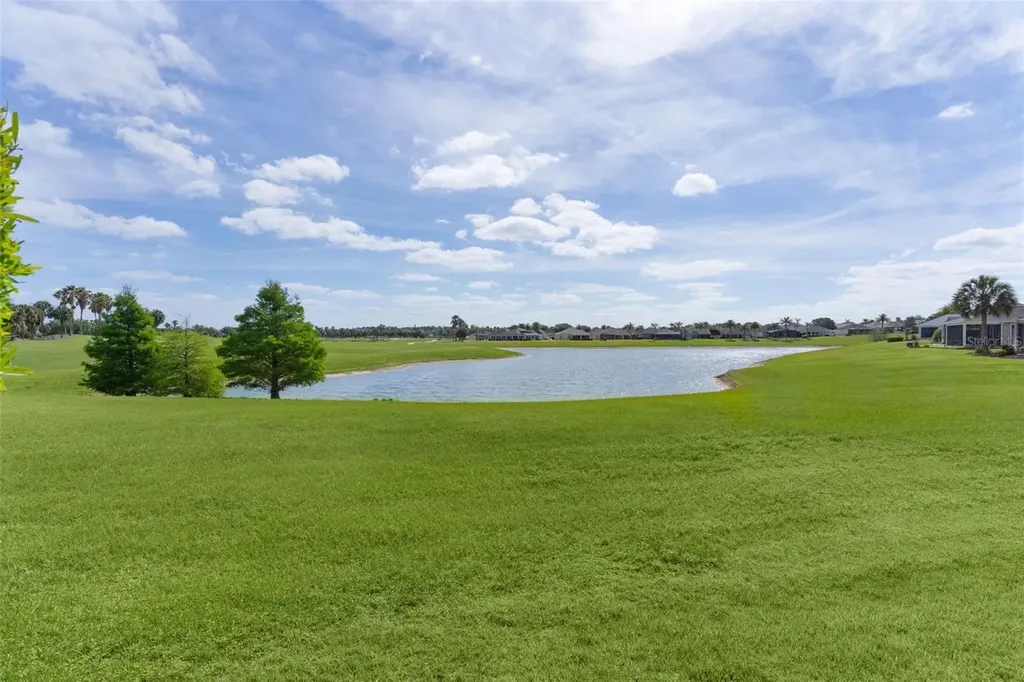 1251 Eureka Mill Run The Villages FL 32162