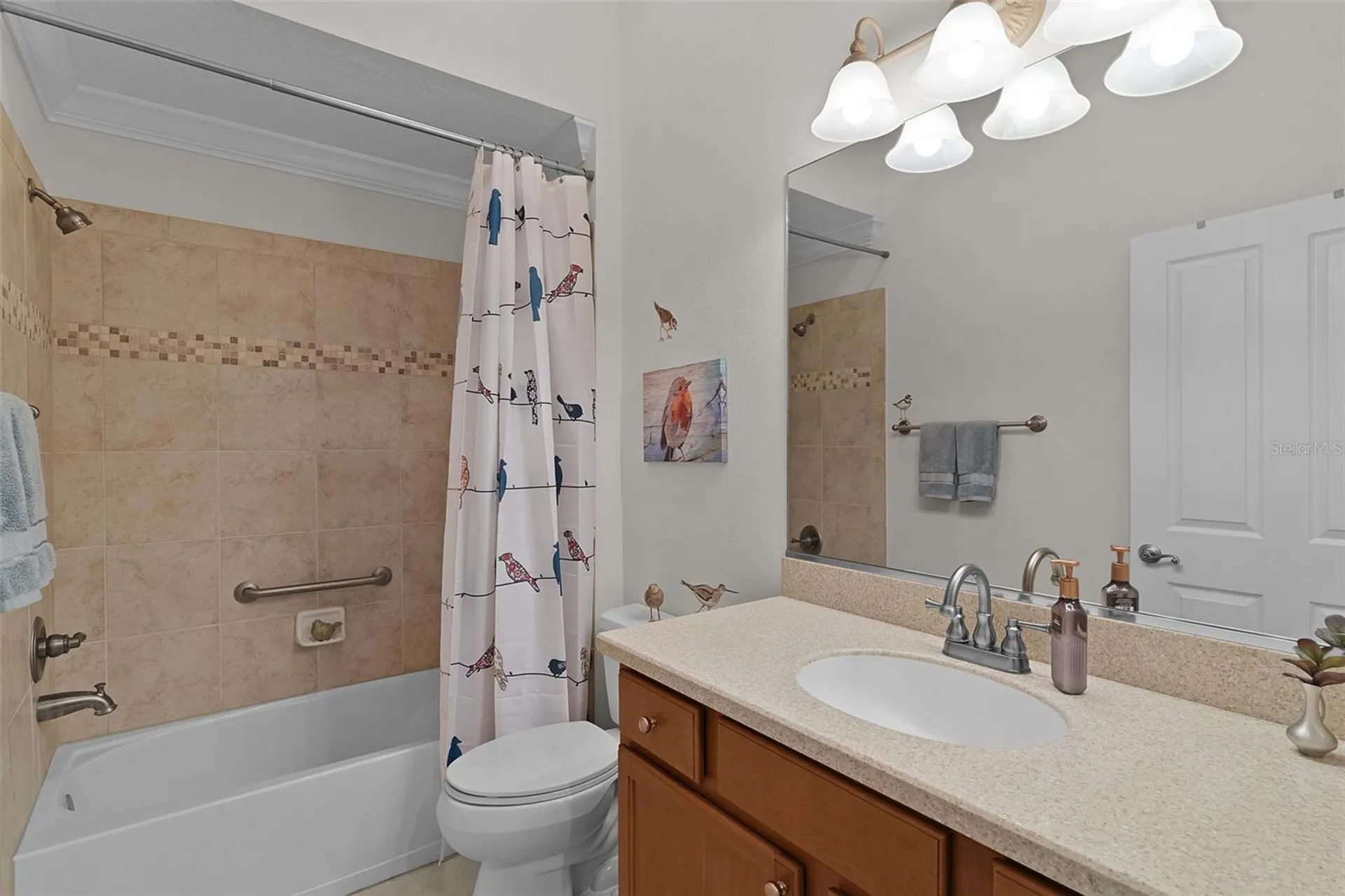 1251 Eureka Mill Run The Villages FL 32162