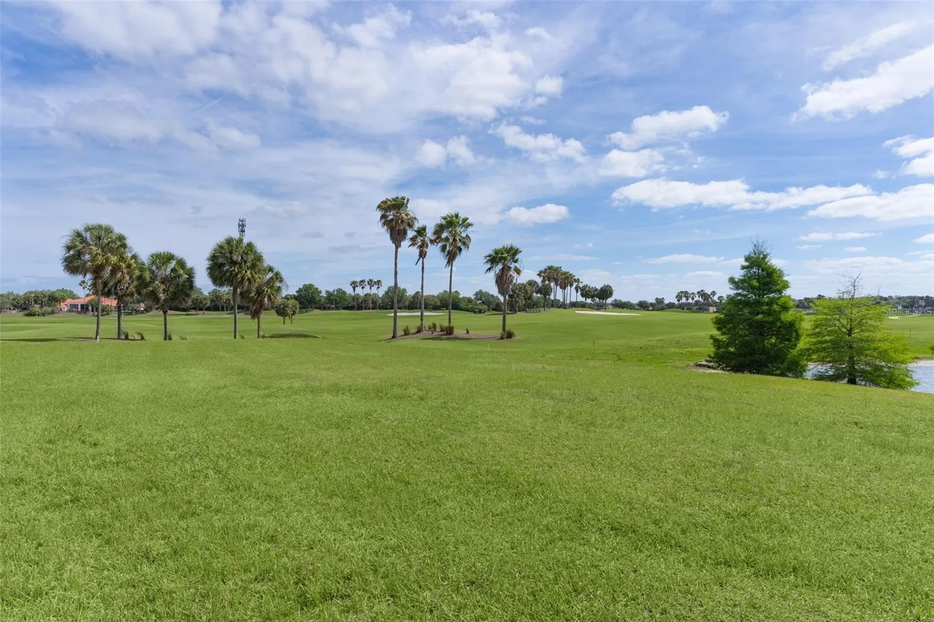 1251 Eureka Mill Run The Villages FL 32162